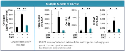 Models Of Fibrosis