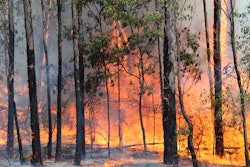 Getty Images 509080953