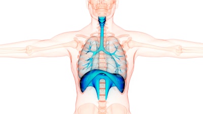 Graphic showing lungs inside a human body