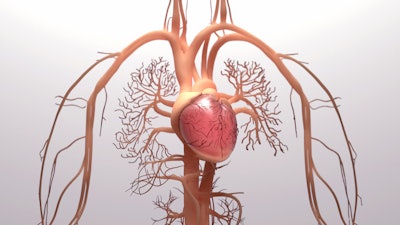 Graphic of lungs and heart.