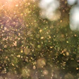 Air polluted by dust and pollen.