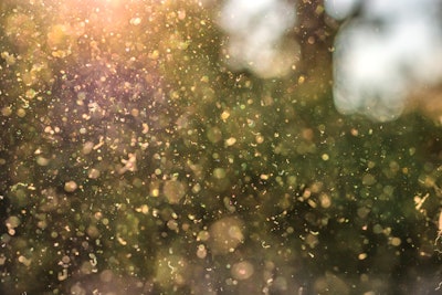 Air polluted by dust and pollen.