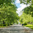 Empty street under green trees and blue sky in spring. Residential neighborhood in southwest USA.