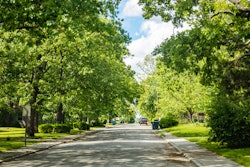 Empty street under green trees and blue sky in spring. Residential neighborhood in southwest USA.