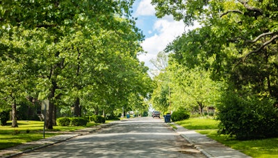 Empty street under green trees and blue sky in spring. Residential neighborhood in southwest USA.