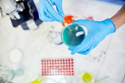 Biologist in gloves adding sample to petri dish.
