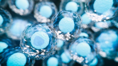 3d rendered image. Human stem cells can differentiate into any other cell type.