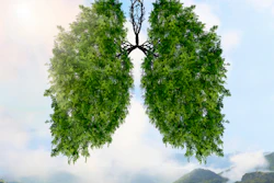 The silhouette of the lungs against the background of a mountain landscape.