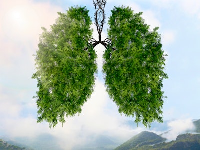 The silhouette of the lungs against the background of a mountain landscape.