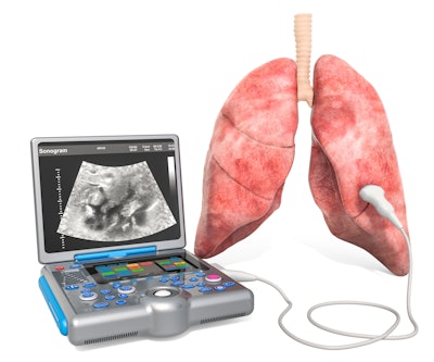 Lung Ultrasound concept. Human lung with medical ultrasound diagnostic machine, 3D rendering.