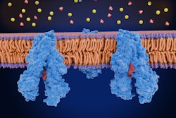 Cystic fibrosis transmembrane conductance regulator (CFTR)