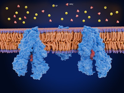 Cystic fibrosis transmembrane conductance regulator (CFTR)