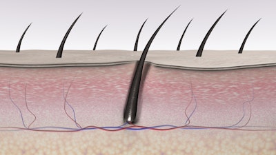 Skin tissues and hair follicle cross-section.