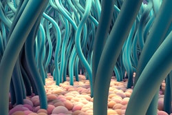 This is an illustration of hair-like structures in the lungs called cilia.