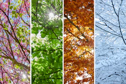 This photo collage shows the four seasons.