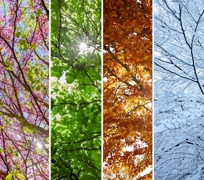 This photo collage shows the four seasons.