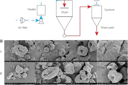 A. Schematic of the spray drying process used to dry Lactobacillus strains into small, flowable powder particles. B. Scanning electron microscope (SEM) images of three formulations of powder particles after drying. Images at 25,000, 50,000, and 100,000x magnification (left to right) were taken from one sample each.