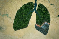 Image of lungs with wildfire burning on the right side.