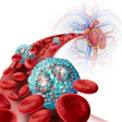 This is an illustration of eosinophils in asthma.