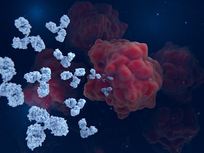 Cancer immunotherapy: Therapeutic antibodies attacking cancer cells. The human epidermal growth factor 2 is locked in the inactive conformation by Trastuzumab and Pertuzumab.