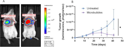 (Above): The mouse on the right received no treatment, while the one on the left was scanned 30 days after microbubble medication treatment began.