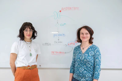 Ginevra Doglioni and Sarah-Maria Fendt