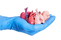 handful of miniature anatomical replicas of human organs isolated on a white background