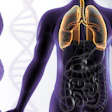 Illustration of human body lungs anatomy with DNA strand