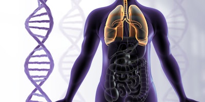 Illustration of human body lungs anatomy with DNA strand