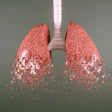 Fragmented lungs disintegrating into digital pixels, representing lung function decline