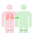 Organ donation diagram showing pink donor and green recipient human figures with lungs