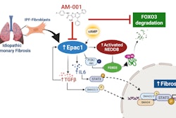 AM-001 blocks a key protein (Epac1), which helps protect another protein (FoxO3a) from being broken down. It also shuts down several harmful signals that drive lung scarring in idiopathic pulmonary fibrosis, helping to reduce lung damage.