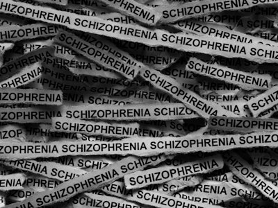 Schizo2