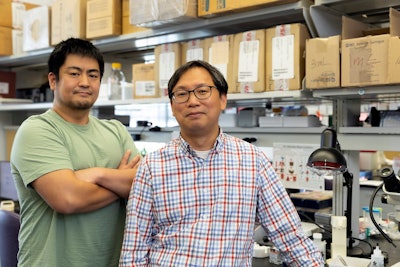 UIC researchers Teruyuki Sano, PhD, (left) and Kiwook Kim, PhD, (right) have discovered that a small protein called IL-10 is critical for preventing lung inflammation and associated diseases.