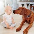 Getty Images 979159900