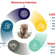 Altesa BioSciences is hoping that its rhinovirus treatment vapendavir can disrupt the cycle of the virus in COPD patients.