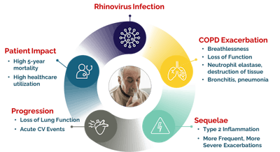 Altesa BioSciences is hoping that its rhinovirus treatment vapendavir can disrupt the cycle of the virus in COPD patients.