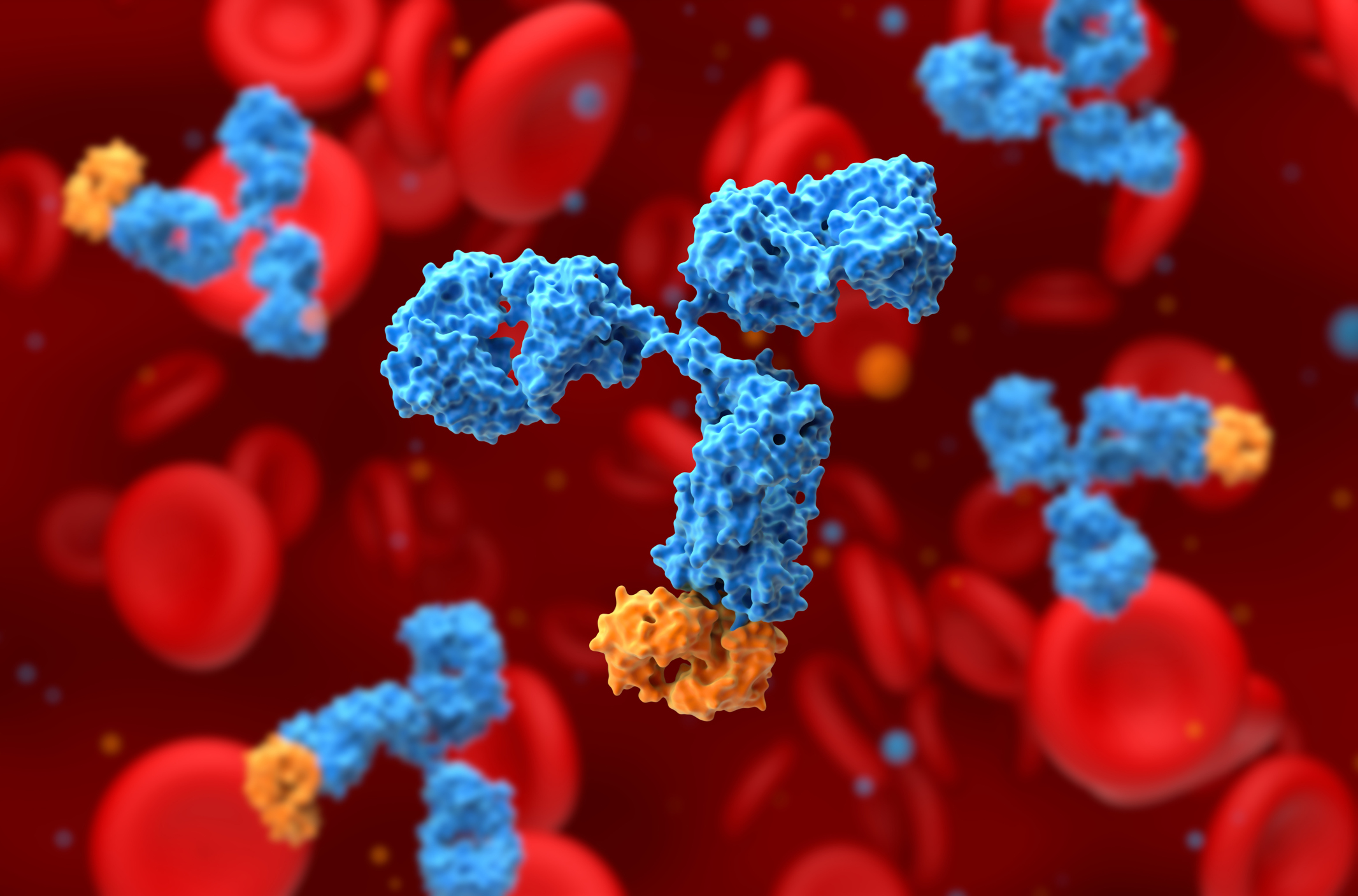 Monoclonal Antibody