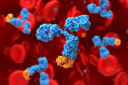 Monoclonal Antibody