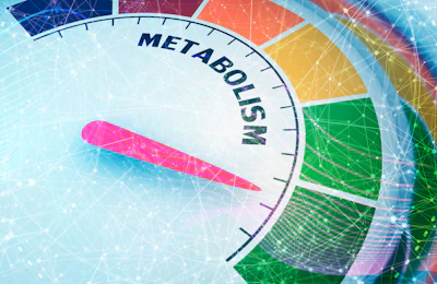 Metabolism
