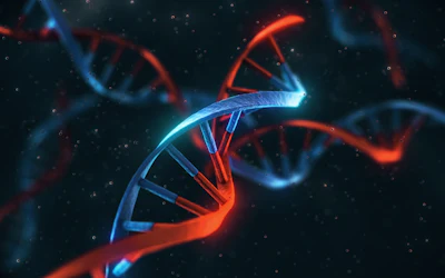 Polygenic Risk Score