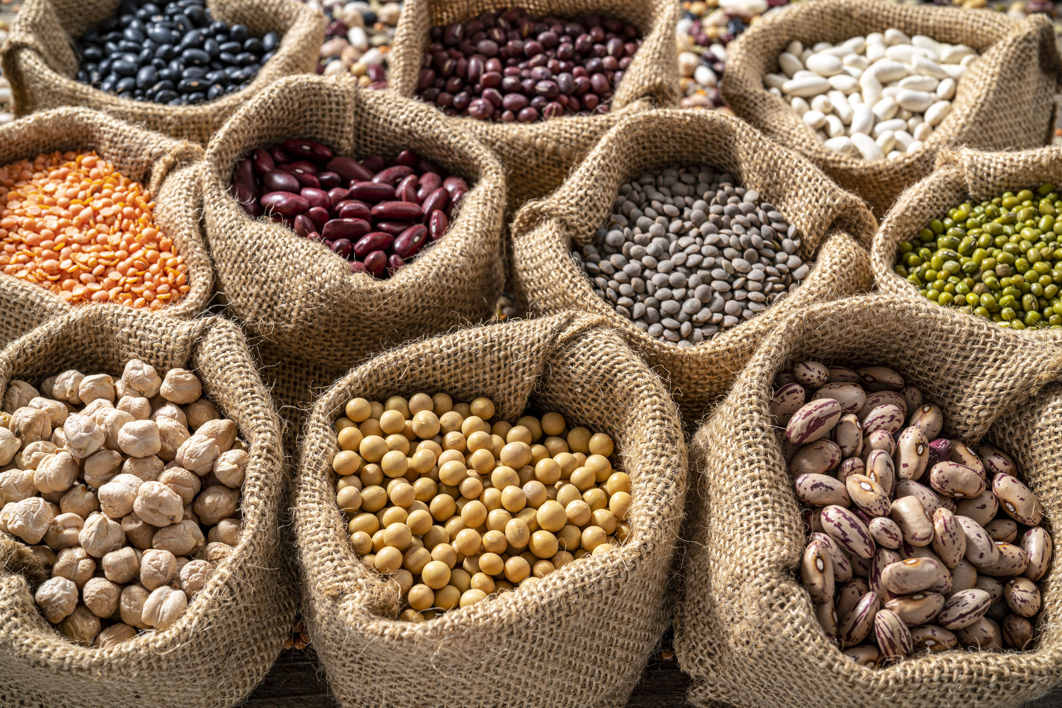 Legumes