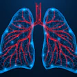 Lungs1