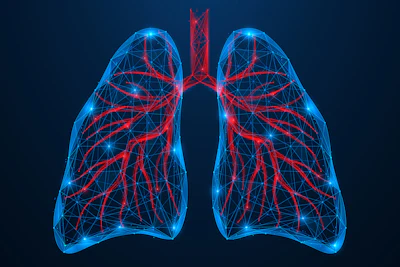 Lungs1