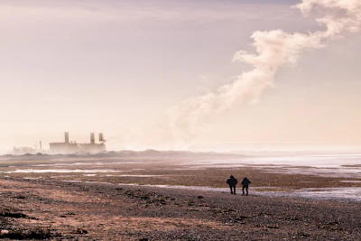 Walking Pollution2