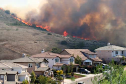 Wildfire