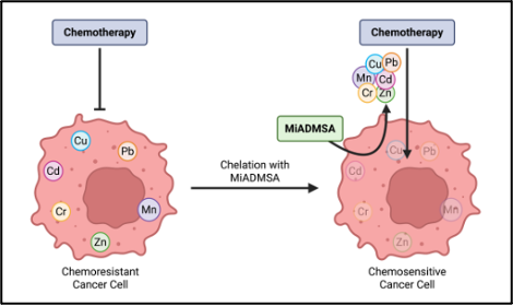 Heavy Metals Chemotherapry Web