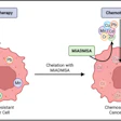 Heavy Metals Chemotherapry Web