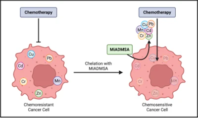 Heavy Metals Chemotherapry Web
