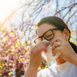 Pollen